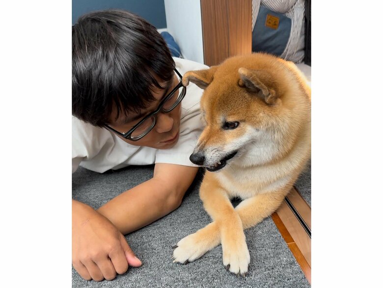 パパの愛が重すぎた…（提供：柴犬ぽてとさん）