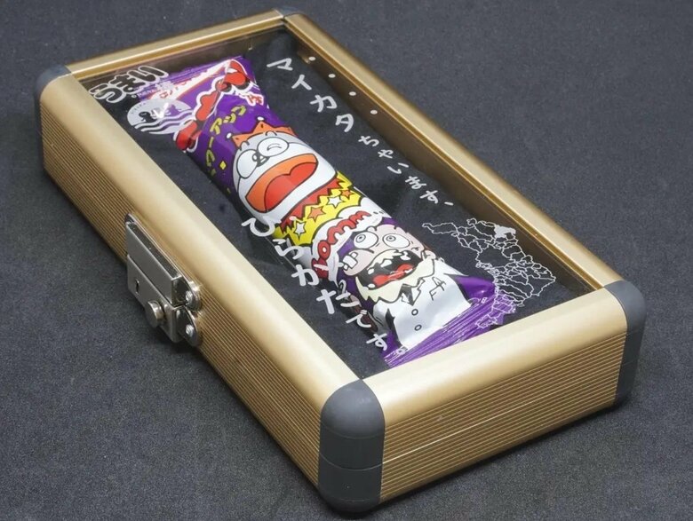 金色の専用ケース