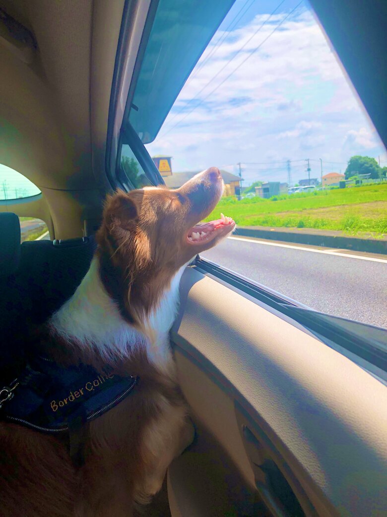 提供：ゆに＆メッシさん