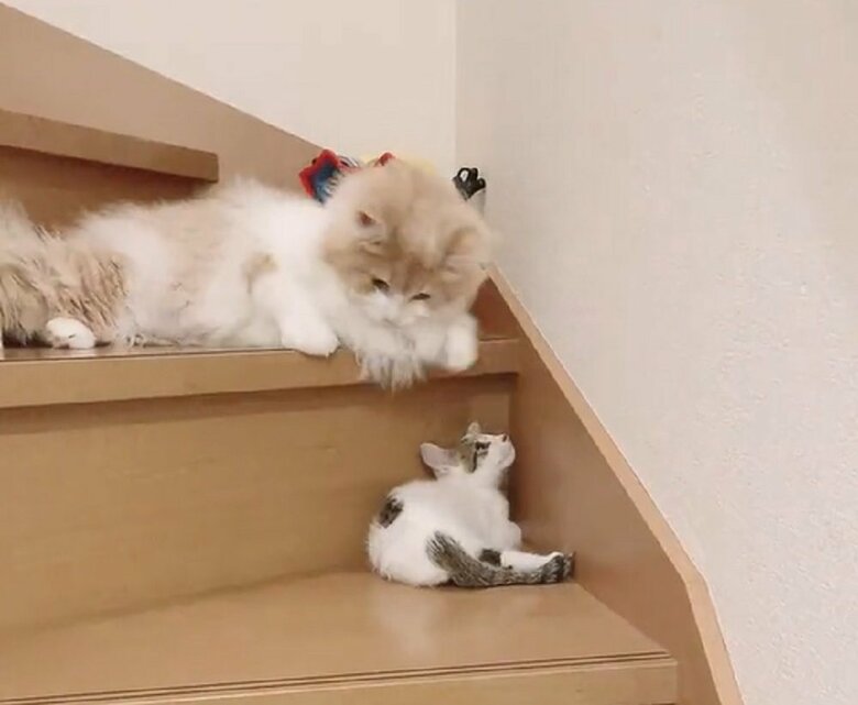 数秒後、顔を上げると…