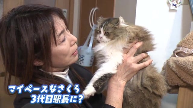 マイペースなさくらに駅長が務まるのか…