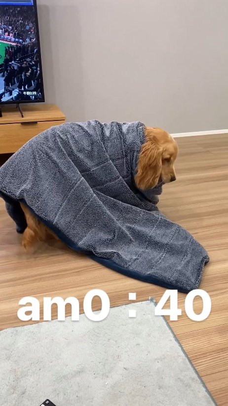 提供：関口和也さん