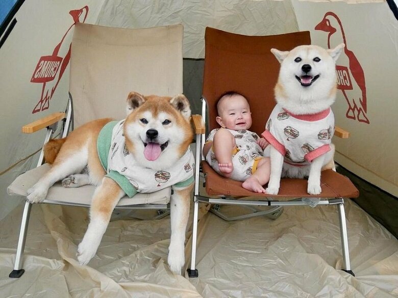 左から　べりやんくん、娘さん、むくみちゃん