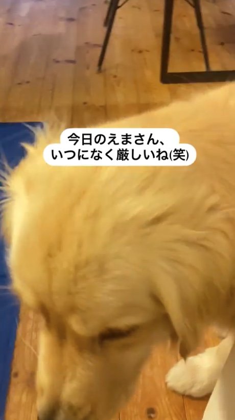 提供：エマさん