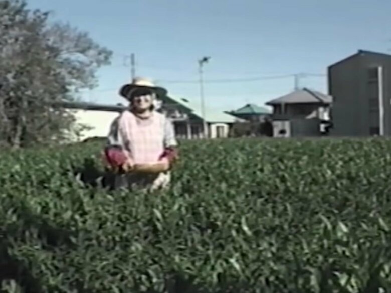 真実に迫るため、あらゆるヒントを探った（出典：サントリー公式Youtubeチャンネルより）