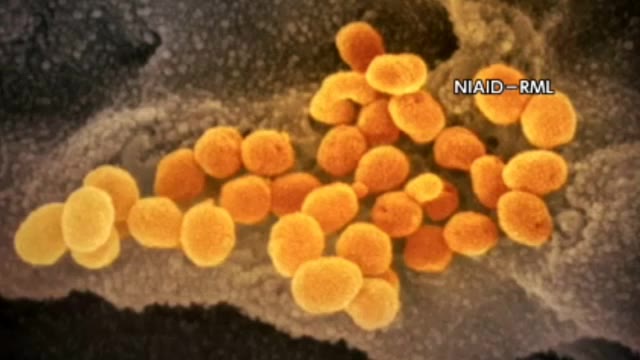 札幌市新たに16人…8人の「経路不明」