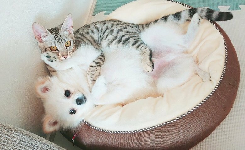 仲良し