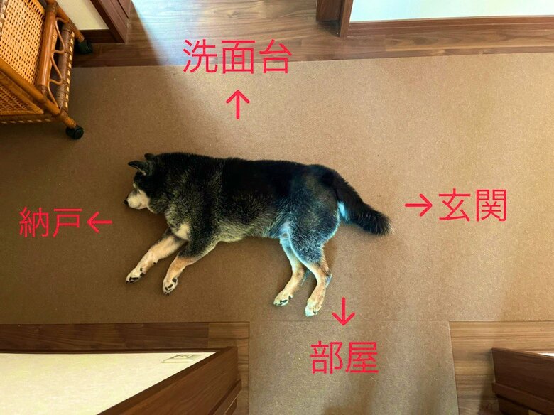 緊張感のない日々を送っているという