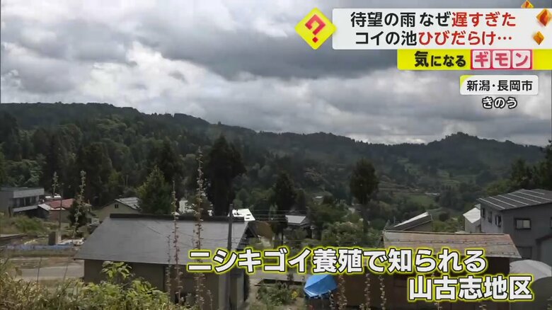ニシキゴイの養殖で知られる新潟県長岡市の山古志地区