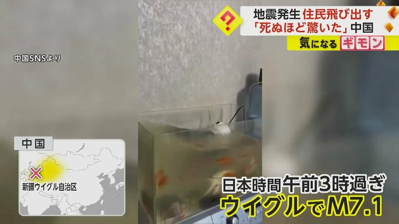 地震で水槽の水が大きく揺れている