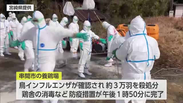 県内で今季２例目の鳥インフルエンザ　串間市の発生農場で防疫作業が終了