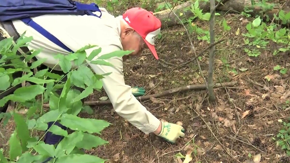 マツタケ採り名人”は御年100歳。目指すは「長寿日本一」 戦争の記憶