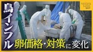 【鳥インフル】猛威振るった22年度に何が起きた!? 約257万羽殺処分で卵の価格や対策に変化