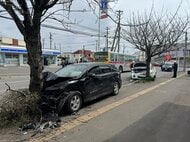 【速報】交差点で交通事故…車が街路樹に_ 運転手の50代男性が意識不明の重体〈北海道函館市〉