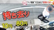 “ナゾ理論”で正当化？野菜ドロボーを直撃【しらべてみたら】
