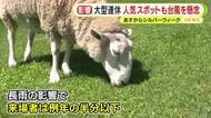 台風25号…シルバーウィークを直撃か　静岡県内の人気スポットでも懸念の声
