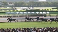 【小倉記念＆函館2歳S】開催ラストウィークを盛り上げるW重賞！今年最後の小倉重賞は名物・小倉記念！世代最初の重賞・函館2歳S！