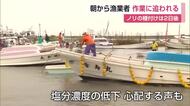 「種が網につかないかも…」台風30号の大雨でノリ漁業者に不安　種付けは28日に延期【佐賀県】