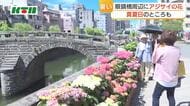 修学旅行生も「暑い！」　アイスが「めっちゃおいしい」　午前中から真夏日のところも　長崎市の眼鏡橋周辺には約1300鉢のアジサイ