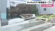 「ホウちゃん」が間近に！天王寺動物園でホッキョクグマの新施設「ポーラーベアコースト」がオープン　約90年親しまれた施設をリニューアル