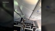 イスラエル行き旅客機の緊急着陸事件　機長襲った凶器はコックピットの“斧”　副操縦士は母国・オマーンで飛行禁止だったか