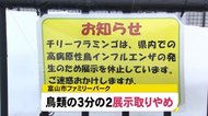 動物園のフラミンゴも避難 鳥インフルエンザ対策