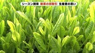 新茶初取引~平均価格は平年並み 「出来は上々」生産者の思いは 静岡市