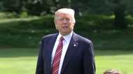 マイケル・ムーア「トランプは次の大統領選でも勝つ」【木村太郎のNon Fake News#4】