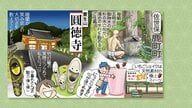 “笑顔の竹灯籠”で心も明るく照らす！「少しでも笑顔に」住職の思いが詰まった竹のお寺へ【佐世保市鹿町・圓徳寺】