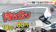 “ナゾ理論”で正当化？野菜ドロボーを直撃【しらべてみたら】