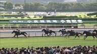 【小倉記念＆函館2歳S】開催ラストウィークを盛り上げるW重賞！今年最後の小倉重賞は名物・小倉記念！世代最初の重賞・函館2歳S！