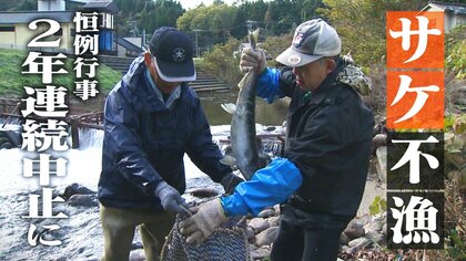 “サケ不漁”で恒例行事が2年連続で中止に…捕獲数は約2万匹⇒1400匹と激減「量が戻ってくれるに越したことはない」