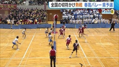 【春高バレー・新潟】全国の舞台へ！男子・関根学園が初優勝「チャレンジャーらしく立ち向かう」 女子・新発田商は10年ぶりの優勝「粘り強さ・破壊力・明るさ忘れずに」