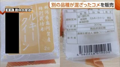 別の品種混ざったコメ販売…新潟・阿賀町の越後ファームが“不適正表示”　コシヒカリ・新之助など9商品で確認