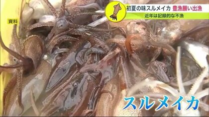 夏イカ 豊漁願い漁船が一斉に出漁・初水揚げ 不漁続き・燃料高の逆境に負けず…函館市【北海道発】