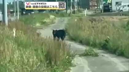秋田県、「クマ出没警報」9月末まで延長　生活圏での目撃相次ぐ　クマ寄せ付けない対策の徹底を呼びかけ