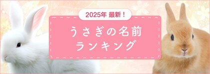 【2025年最新】うさぎの名前ランキングを発表!