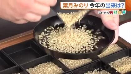 【新米】「価格は相当下がるのでは」極早生品種『葉月みのり』の初検査　すべて“一等米”判定も在庫多く　新潟