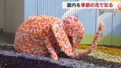 園児が育てたチューリップなど約３万本の春の花で池田動物園内を彩る「動物たちと花フェス」始まる【岡山】
