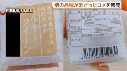 別の品種混ざったコメ販売…新潟・阿賀町の越後ファームが“不適正表示”　コシヒカリ・新之助など9商品で確認