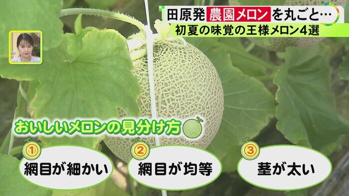 ニュースONE
