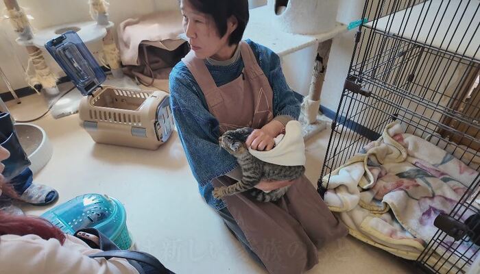 もふもふ堂