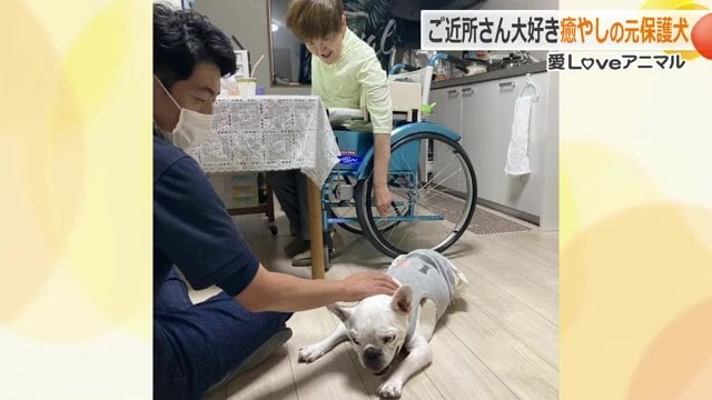 先代のギモーブくん