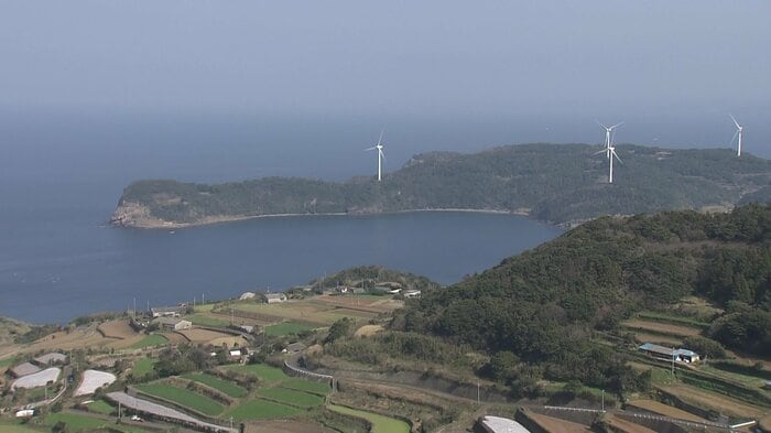 「花粉がない島」として知られる長崎県平戸市・的山大島(2024年取材時)
