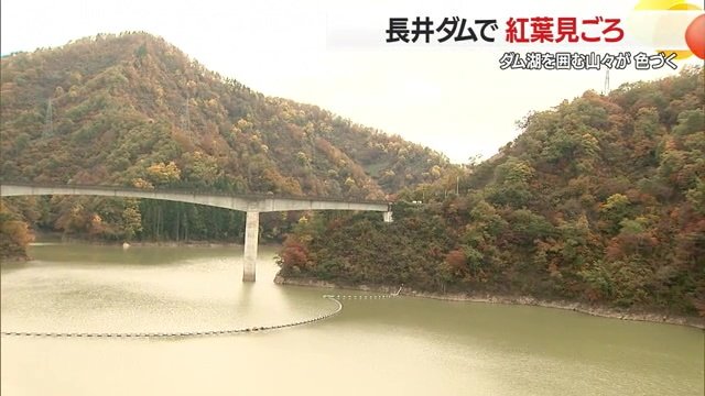 展望台からは百秋湖を一望できる