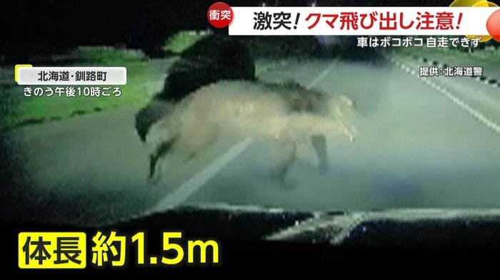 飛び出してきた体長約1.5mのクマ