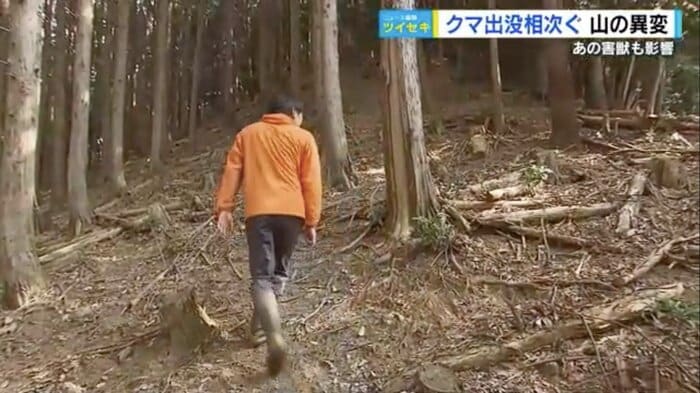 山林の獣道を調査する広島修道大学の奥田准教授