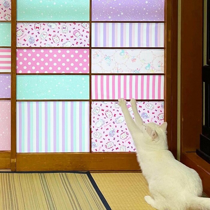提供:絵子猫さん