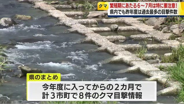クマが目撃された川(静岡県富士宮市)