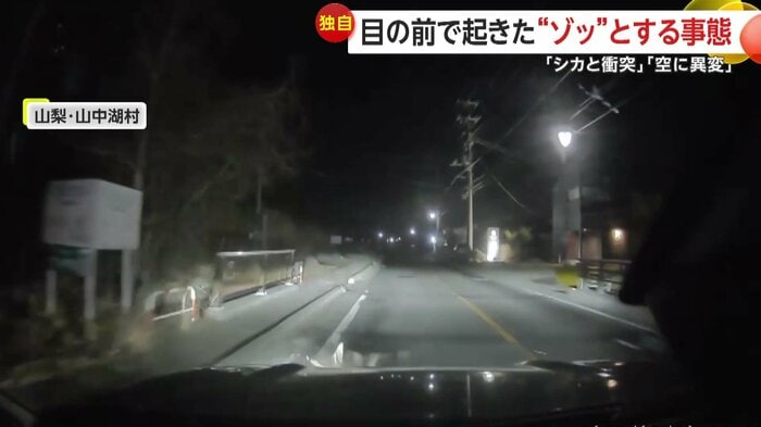 シカと衝突した瞬間(視聴者提供)